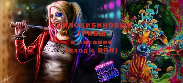 СК Алзамай