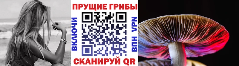 Псилоцибиновые грибы Magic Shrooms  Жуковка 